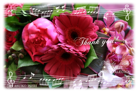 �Έ���q��Ɂ@�u�����A���g�O���[�X�@���b�X���T����