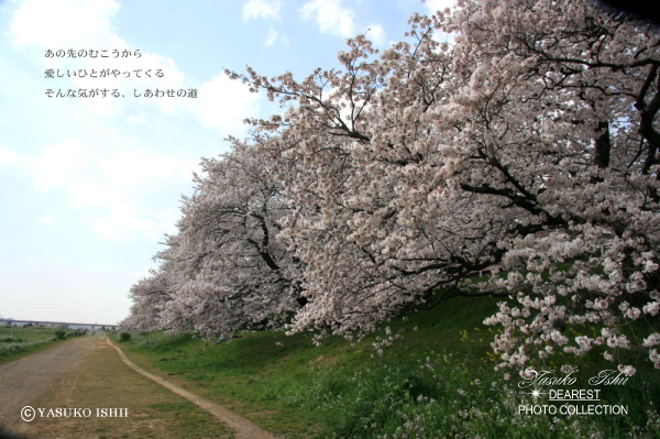YASUKO ISHII DEAREST PHOTO COLLECTION