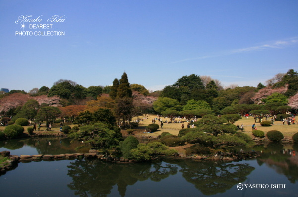 YASUKO ISHII DEAREST PHOTO COLLECTION