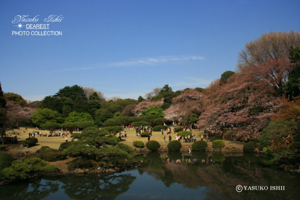 YASUKO ISHII DEAREST PHOTO COLLECTION