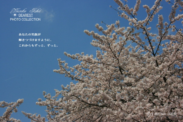 YASUKO ISHII DEAREST PHOTO COLLECTION