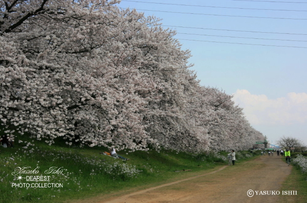 YASUKO ISHII DEAREST PHOTO COLLECTION