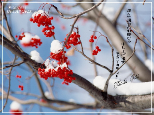 �Έ���q��Ɂ@�u�����A���g�O���[�X�@���b�X���T����